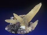 Calcite Crystals with Fluorite, Sphalerite, and Barite, Illinois, USA Photographic Print by Mark Schneider