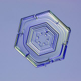 Snowflake Photographic Print by Kenneth Libbrecht