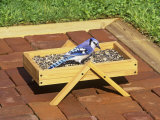 Blue Jay (Cyanocitta Cristata) Feeding on Seeds at a Patio Bird Feeder Photographie par Steve Maslowski