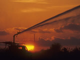 Irrigation from a Truck at Twilight, Florida, USA Photographic Print by Joe McDonald