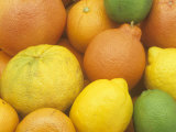Citrus Fruits. Grapefruit, Tangerine, Ugli, Orange, Lemon, Lime, Tangelo and Clementine Photographic Print by Wally Eberhart