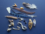Miscellaneous Animal Parts from Eastern Screech Owl, Otus Asio, Pellets, North America Fotografisk trykk av Bill Beatty
