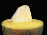 Mango Fruit Opened, Showing Seeds Inside, Mangifera Indica Photographic Print by Jerome Wexler