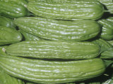 Bitter Melon, Gourd Variety(Momordica Charantia), Native to Old World Tropics Photographic Print by Ken Lucas