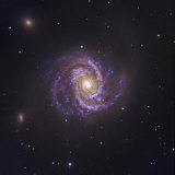 The Spiral Galaxy M100 and Supernova Sn2006X Photographic Print by Robert Gendler
