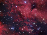 The Butterfly Nebula or Gamma Cygni Nebulosity, Ici318 in Cygnus Photographic Print by Robert Gendler