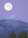 Full Moon Setting Behind Jay Peak, Vermont. the Alpine Tree Line Illustrates Altitudinal Zonation Fotografie-Druck von Gustav W. Verderber