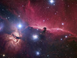 The Horsehead Nebula Region Fotografie-Druck von Robert Gendler