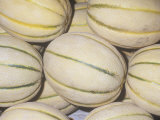 Melon Variety Cantaloupe, Tuscan Style Photographic Print by Ken Lucas
