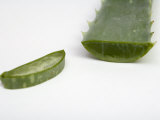 Close Up of Aloe Vera Plant Photographic Print
