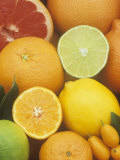Citrus Fruits: Grapefruit, Lemon, Lime, Tangerine, Tangelo, Orange, Clementine and Kumquat Fotografie-Druck von Wally Eberhart