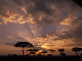 Crepuscular Sun Rays and Acacia Trees at Twilight, Masai Mara Game Reserve, Kenya, Africa Photographie par Gerald & Buff Corsi