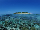 Corals in Shallow Water, Maldives, Indian Ocean, Meemu Atoll Photographie par Reinhard Dirscherl