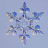 Snowflake Photographic Print by Kenneth Libbrecht