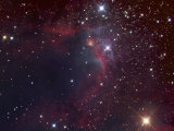 The Cave Nebula, Sharpless 155 in Cepheus Photographic Print by Robert Gendler