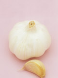 Garlic (Allium Sativum) Photographic Print by Wally Eberhart