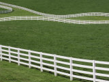 White Fence on Horse Farm, Bluegrass Region of Lexington, Kentucky Photographic Print by Adam Jones