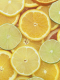 Citrus Slices. Lemon, Lime, Orange, Grapefruit and Tangerine Photographic Print by Wally Eberhart