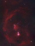 The Constellation Orion or the Hunter and its Nebulosity Photographic Print by Robert Gendler
