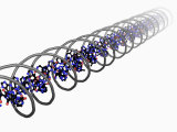 Dna Molecular Model Within a Coil Photographic Print by Peter Artymiuk