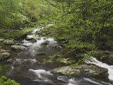 Mountain Stream in Early Spring, Great Smoky Mountains National Park, Tennessee Photographie par Adam Jones