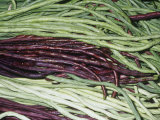 Mixture of Chinese Long Bean Pods (Vigna Unguiculata). Native to North and West Africa Photographic Print by Ken Lucas