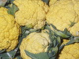 Cauliflower Variety Cheddar Cheese (Brassica Oleracea Var. Botrytis) Native to Mediterranean Region Photographic Print by Ken Lucas