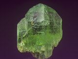 Peridot (Forsterite) Photographic Print by Mark Schneider