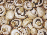 Commercial Mushroom Variety White Button (Agaricus Bisporus), the Supermarket Mushroom Photographic Print by Ken Lucas