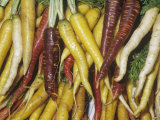 Carrot, Colorful Varieties (Daucus Carota Var. Sativus) Native to Western Asia Photographic Print by Ken Lucas