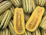 Burgess Buttercup: a Winter Squash Delicata Photographic Print by Wally Eberhart