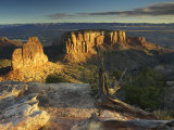 Sunrise Warms the Sandstone Pillars and Walls of Colorado National Monument, Colorado, USA Photographic Print by Don Grall