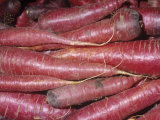 Carrot, Purple, Heirloom (Daucus Carota Var. Sativus) Native to Western Asia Photographic Print by Ken Lucas