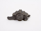 Baby Common Snapping Turtle Lámina fotográfica Baby Common Snapping Turtle Lámina fotográfica