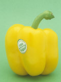 Organic Bell Pepper Photographic Print by Wally Eberhart