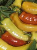 Pepper, Sweet Banana Photographic Print by Wally Eberhart