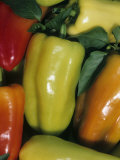 Gypsy Hybrid' Sweet Peppers (Capsicum Annuum) Photographic Print by Wally Eberhart