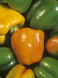 Valencia' Sweet Peppers (Capsicum Annuum) Photographic Print by Wally Eberhart