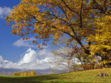 Single Tree and Distant Southern Appalachian Mountains in the Fall, North Carolina, USA Photographic Print by Adam Jones