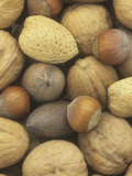 Nuts, Pecan, Walnut, Hazel and Almond Photographic Print by Wally Eberhart