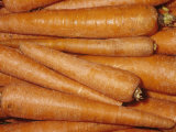 Carrot (Daucus Carota Sativus), Native to Western Asia Photographic Print by Ken Lucas