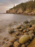 Dawn at Otter Cliffs, Acadia National Park, Maine Impressão fotográfica por Gustav W. Verderber Dawn at Otter Cliffs, Acadia National Park, Maine Impressão fotográfica por Gustav W. Verderber