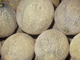 Melon Variety Cantaloupe or Muskmelon Photographic Print by Ken Lucas