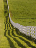 Fence and Shadow on Horse Farm at Sunset, Lexington, Ky Photographic Print by Adam Jones
