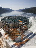Richard Herrmann - Spot Prawn Trap (Pandalus Platyceros), Prince Rupert, British Columbia, Canada, Pacific Ocean Fotografická reprodukce
