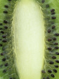 Kiwi Fruit, Actinidia Chinesis Photographic Print by Wally Eberhart