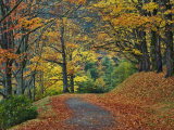 Walking Trail around Bass Lake in the Autumn, Blowing Rock, North Carolina, USA Photographie par Adam Jones