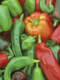 Pepper Varieties, Bell, Habenaro, Chili and Hungarian Varieties Photographic Print by Wally Eberhart