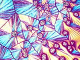 Vitamin C, Ascorbic Acid, Crystals. Polarized Lm Photographic Print by Gladden Willis