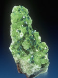 Dioptase Crystals with Duftite and Calcite, Tsumeb Mine, Namibia, Africa Lámina fotográfica por Mark Schneider